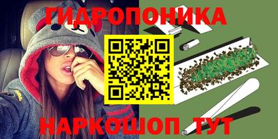 прущие крисы Аша
