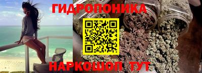 прущие крисы Аша